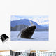 Humpback Wale Breaching Prince Wall Decal