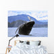Humpback Wale Breaching Prince Wall Decal