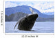 Humpback Wale Breaching Prince Wall Decal