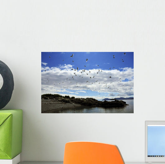 Sea Gulls Flying above Wall Decal
