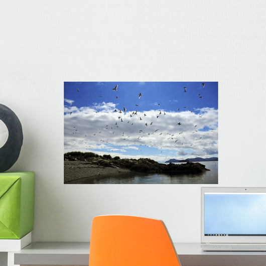 Sea Gulls Flying above Wall Decal