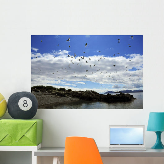 Sea Gulls Flying above Wall Decal