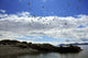 Sea Gulls Flying above Wall Decal