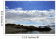 Sea Gulls Flying above Wall Decal