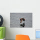 Oystercatcher Flight over Prince Wall Decal