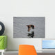 Oystercatcher Flight over Prince Wall Decal