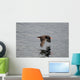 Oystercatcher Flight over Prince Wall Decal