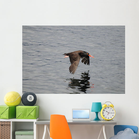 Oystercatcher Flight over Prince Wall Decal
