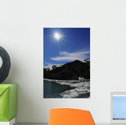 Icebergs from Surprise Glacier Wall Decal