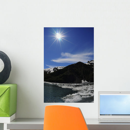 Icebergs from Surprise Glacier Wall Decal