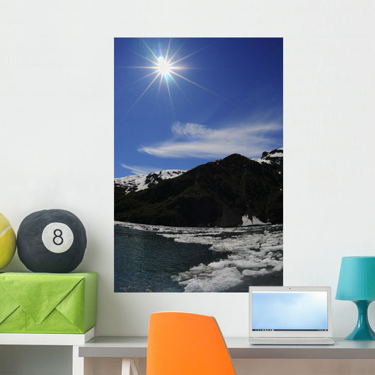 Icebergs from Surprise Glacier Wall Decal