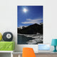 Icebergs from Surprise Glacier Wall Decal