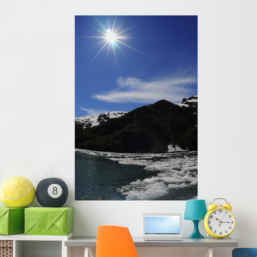 Icebergs from Surprise Glacier Wall Decal