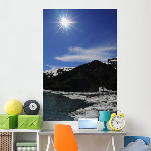 Icebergs from Surprise Glacier Wall Decal