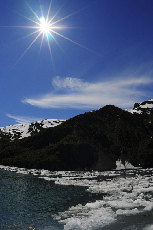 Icebergs from Surprise Glacier Wall Decal