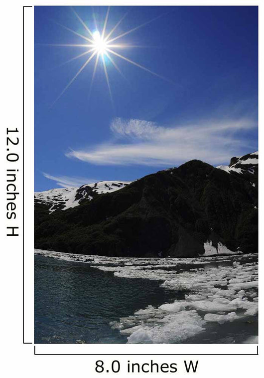 Icebergs from Surprise Glacier Wall Decal
