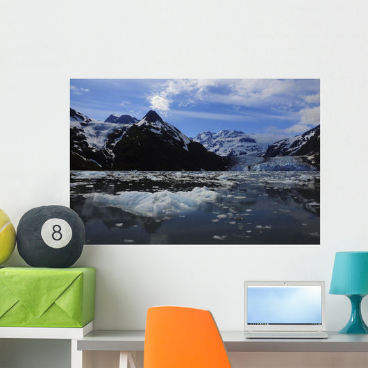 Scenic Surprise Glacier Prince Wall Decal