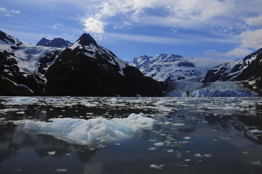 Scenic Surprise Glacier Prince Wall Decal