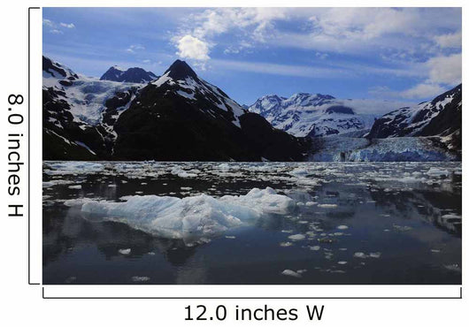 Scenic Surprise Glacier Prince Wall Decal