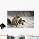 Brown Bear Fight over Wall Decal