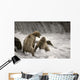 Brown Bear Fight over Wall Decal