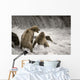 Brown Bear Fight over Wall Decal