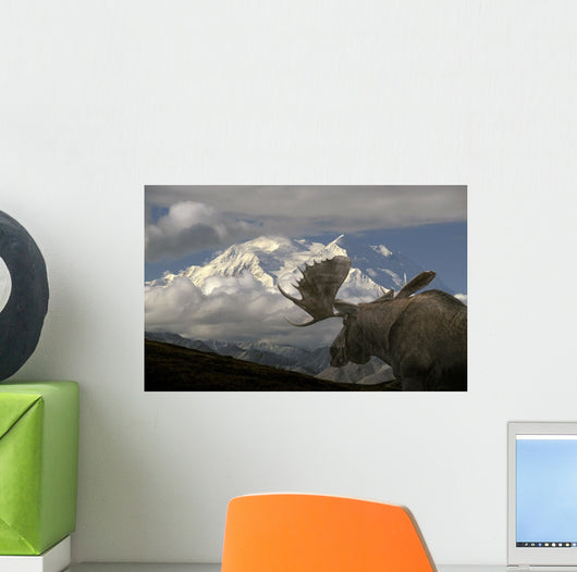 Bull Moose Walking toward Wall Decal