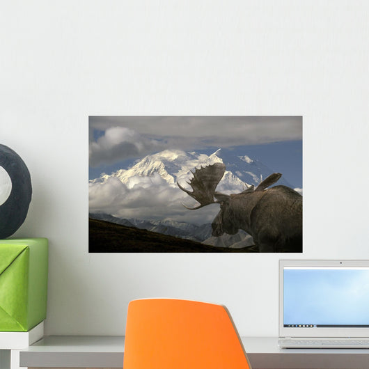 Bull Moose Walking toward Wall Decal