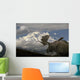 Bull Moose Walking toward Wall Decal