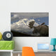 Bull Moose Walking toward Wall Decal