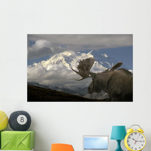 Bull Moose Walking toward Wall Decal