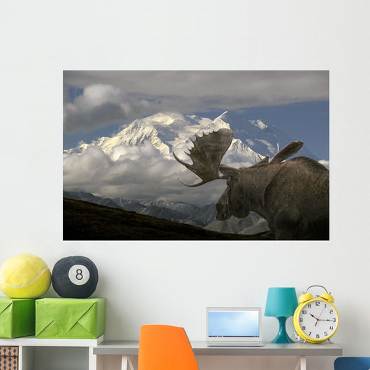 Bull Moose Walking toward Wall Decal