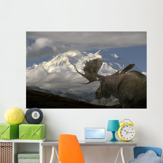 Bull Moose Walking toward Wall Decal