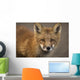 Up Portrait Red Fox Wall Decal