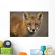 Up Portrait Red Fox Wall Decal