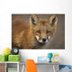 Up Portrait Red Fox Wall Decal