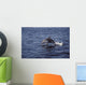 Pacific White Sided Dolphin Wall Decal