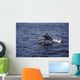 Pacific White Sided Dolphin Wall Decal