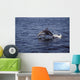 Pacific White Sided Dolphin Wall Decal