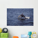 Pacific White Sided Dolphin Wall Decal