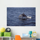 Pacific White Sided Dolphin Wall Decal