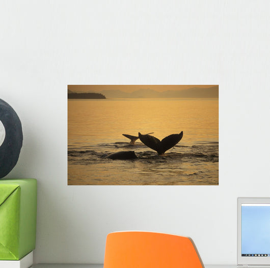 Composite Setting Sun Illuminates Wall Decal 2