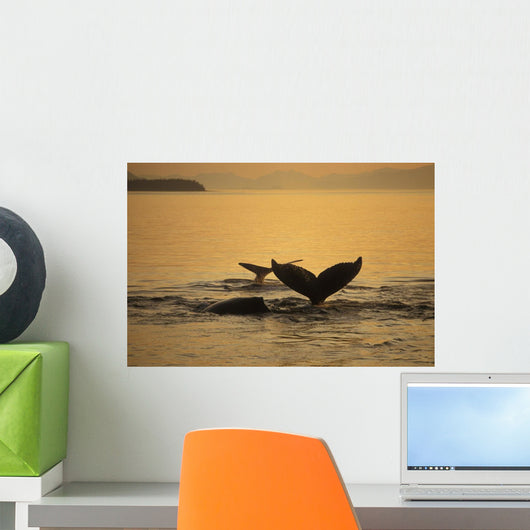 Composite Setting Sun Illuminates Wall Decal 2