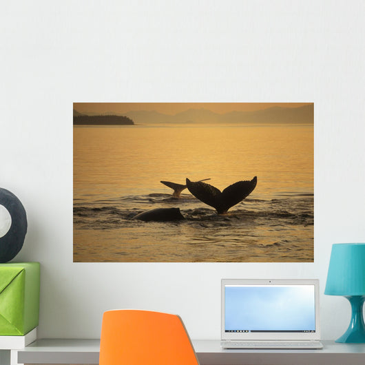 Composite Setting Sun Illuminates Wall Decal 2