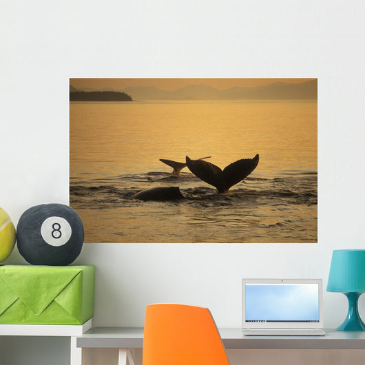 Composite Setting Sun Illuminates Wall Decal 2