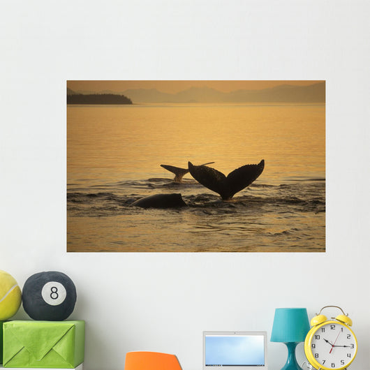 Composite Setting Sun Illuminates Wall Decal 2