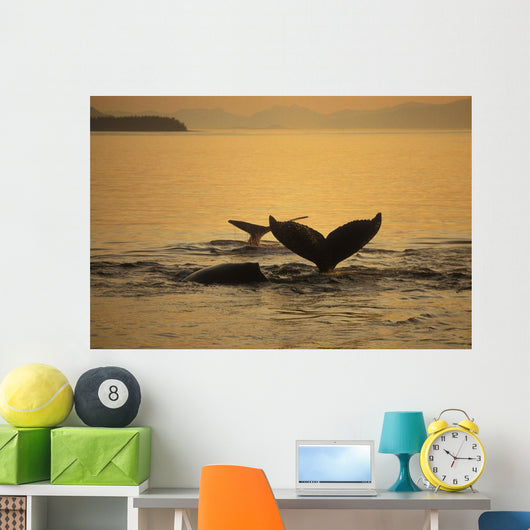 Composite Setting Sun Illuminates Wall Decal 2