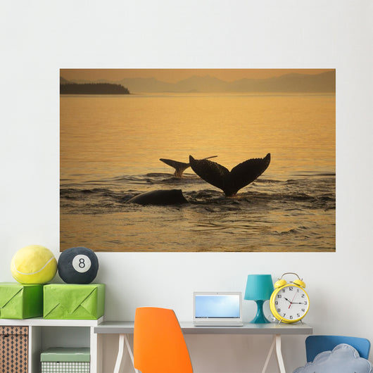 Composite Setting Sun Illuminates Wall Decal 2