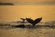 Composite Setting Sun Illuminates Wall Decal 2