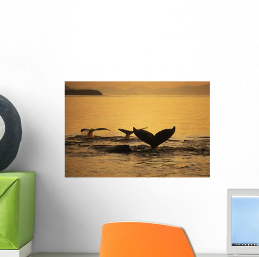 Composite Setting Sun Illuminates Wall Decal 1